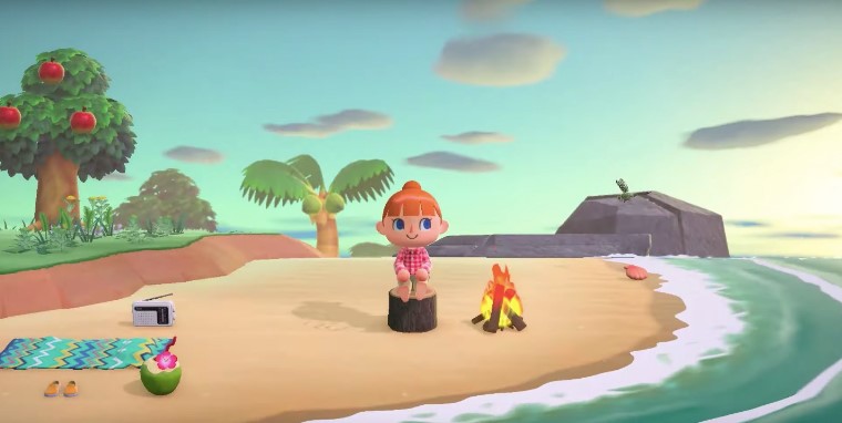 Animal Crossing New Horizons