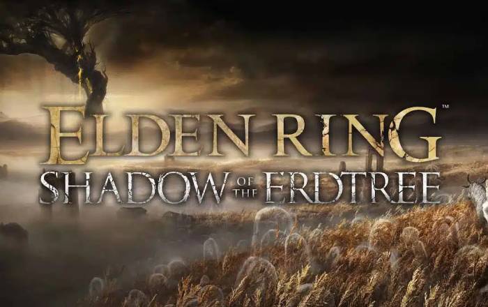 Elden Ring DLC